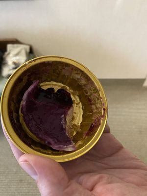 Blueberry cheesecake Vegan and GF /walnut crust (husband eat it so fast it was so good!)  at Root 11  in Bloomsburg