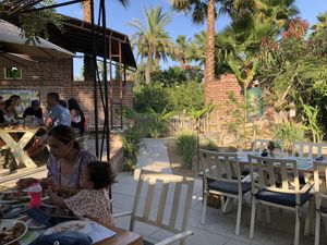 Looking out into the flower garden  at Flora Farms in San Jose Del Cabo