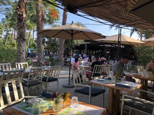Outdoor seating under umbrellas  at Flora Farms in San Jose Del Cabo