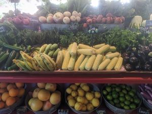 Fresh vegetable stand at Flora Farms in San Jose Del Cabo