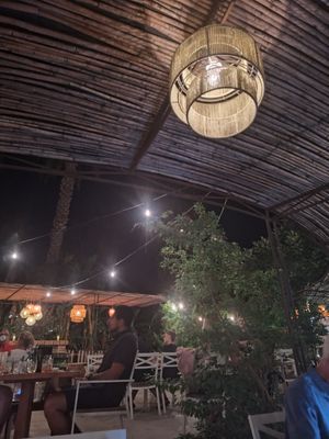 Pretty setting at Flora Farms in San Jose Del Cabo