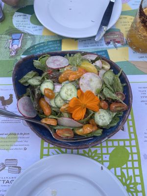 Fresh salad  at Flora Farms in San Jose Del Cabo
