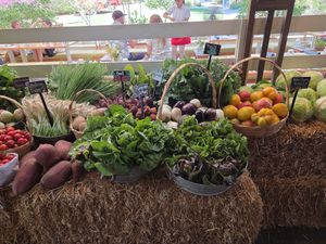 Plant foods grown on site...but not the centerpiece of your meal at Flora Farms in San Jose Del Cabo