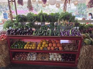  at Flora Farms in San Jose Del Cabo