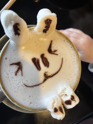 Bunny cino 🐰  at Love Madre in Cheltenham