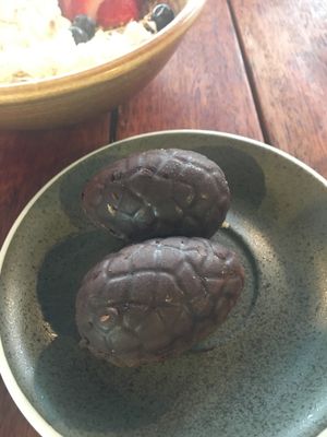 Chocolate easter eggs, refined sugar free at Love Madre in Cheltenham