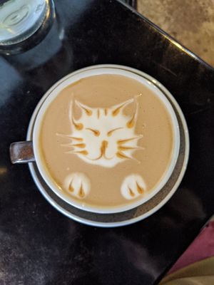 Meow at Love Madre in Cheltenham