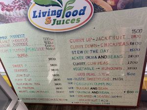 Food menu at Living Food and Juices in Kingston
