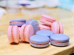 The vegan macarons are so delicious that even non-vegans are regular customers.  at [im]possible: the bakery in Harlingen