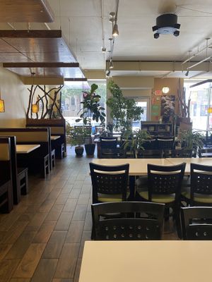 Indoor Seating w/Live Plants and Plenty of Seating  at Golden Era Vegan Restaurant in San Francisco