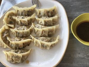 Homemade vegan gyoza (Japanese potstickers) at Nourish in Chiang Mai