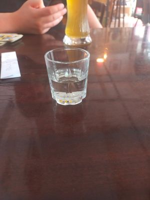 Palinka (Deceptively innocent looking!) at Szabad Bisztro in Budapest