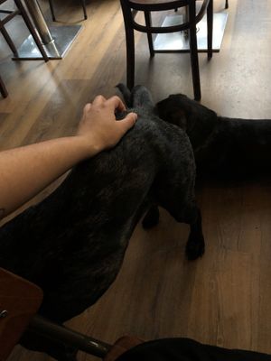   at Szabad Bisztro in Budapest