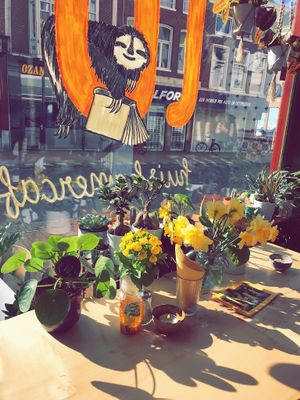 So much natural light and so many plants that make the cafe look extra cozy! at Lui Huiskamercafé in Groningen