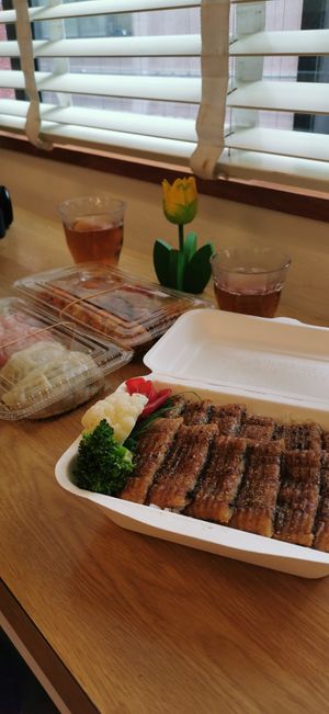 Unagi box and gyoza at Loving Hut in Tokyo