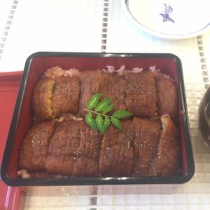 unagi!  at Loving Hut in Tokyo