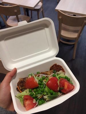 spring roll with soy meat inside, fresh veggies on the top  at Loving Hut in Tokyo