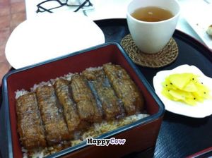 faux meat and rice at Loving Hut in Tokyo