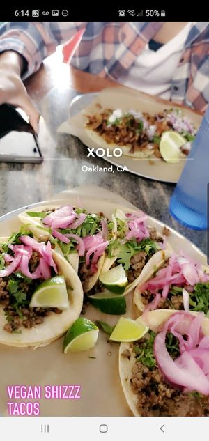 ♡ ig: gimmetacosyo at Xolo in Oakland