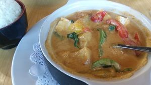 Red curry with tofu, pumpkin, basil, peppers and rice at Coco Thai Cuisine in Orlando