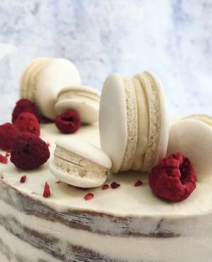 Vegan macarons 💕 at Plantmilkyway in Budapest