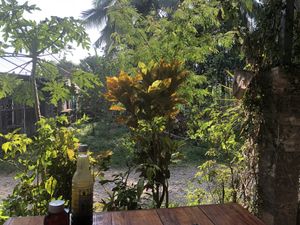   at Kapphet Vegan in Vang Vieng