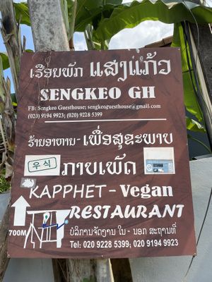  at Kapphet Vegan in Vang Vieng