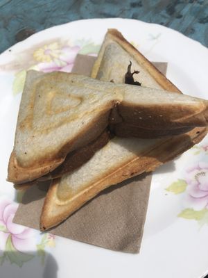 Pesto, mushroom and tomato toastie at For Change Cafe - Melbourne Uni. in Parkville