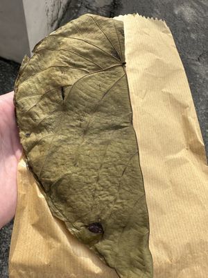   at Ranbath in Colombo