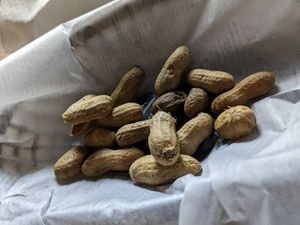 Complimentary boiled peanuts at grow fresh local food in Macon