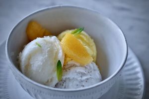 Sorbeto Trio at House in Cuernavaca