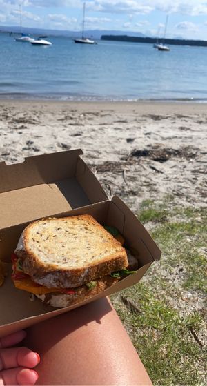 Toastie with roast vege, little bit of cheese and pesto, comes with a side of hummus I think  at Gratitude in Tauranga