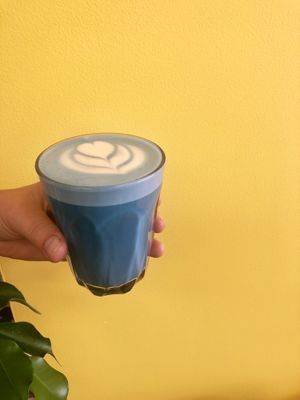 Blue Zen Latte made with housemade organic coconut milk at Gratitude in Tauranga