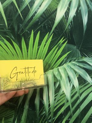 Who we are at Gratitude in Tauranga