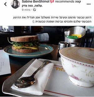 Avocado & vegan vegtables patties sandwich at Cafe Alma in Tel Aviv