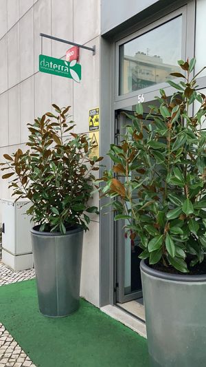   at DaTerra in Aveiro