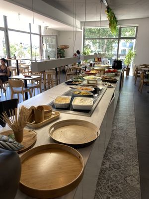   at DaTerra in Aveiro