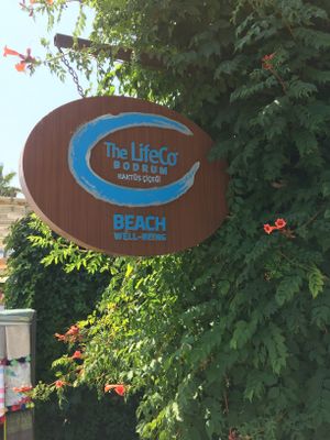 Amazing well-being and detox center. Voted #1 in the world again. Their beach restaurant is open to the public. I highly recommend.  at The LifeCo in Turkbuku
