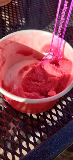  at Moab Coffee Roasters in Moab