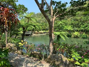 Outside the Cafe at Cafe 7 Winds in Yomitan