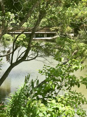 On the way in you’ll take a short walking path and see this.  at Cafe 7 Winds in Yomitan