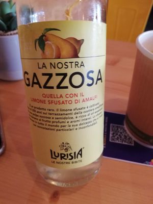 Gazzosa at Flower Burger in Verona