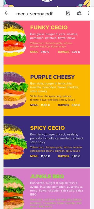  at Flower Burger in Verona