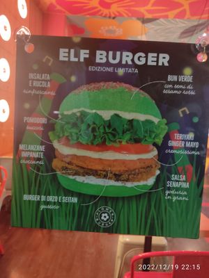  at Flower Burger in Verona