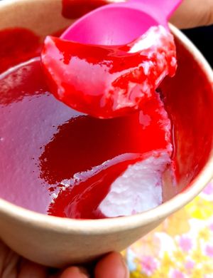 Panna cotta at Florian in Paris