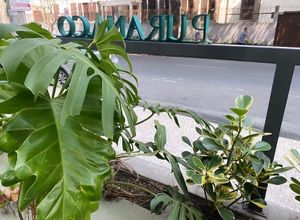 Ambiente delícia, bebidas ótimas, comidinhas caras. Pão de mandioquinha maravilhoso. Fui no almoço, não voltaria. Pelo que vi o café da manhã parece ser a melhor opção.  at Purana in Sao Paulo