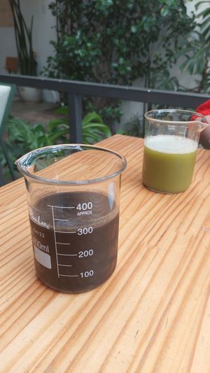 Suco de carvão ativado at Purana in Sao Paulo