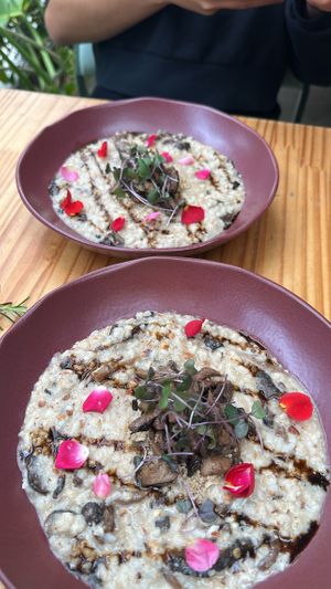 Risotto de cogumelos 🌱 #Veganuary at Purana in Sao Paulo
