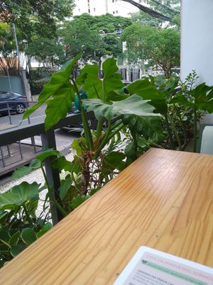  at Purana in Sao Paulo