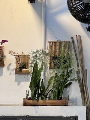   at Purana in Sao Paulo